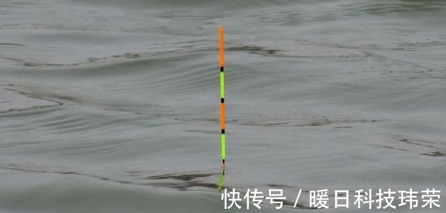截口|有口提竿空口无鱼,这三个招数,空竿马上变实口