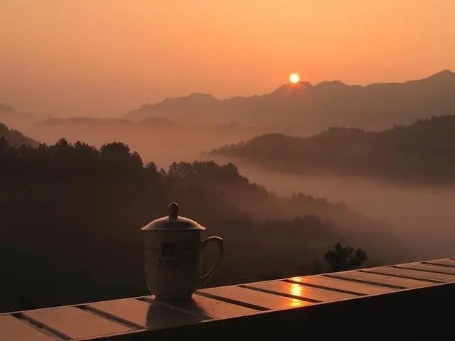 神经细胞|北京医院副院长：很多“病”其实不是病，就是人老了！