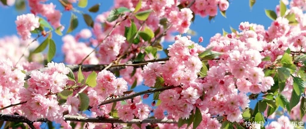 动人|晏几道最经典的思乡词,词作开篇唯美动人,词尾却让人肝肠寸断!