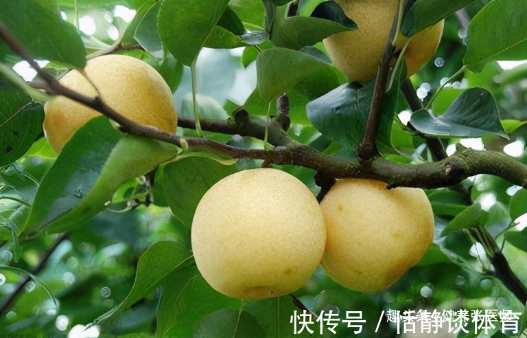 维生素c|好食物吃出好身体，3种食物不错过，补充营养，身体棒棒哒！