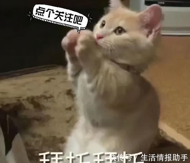 深夜书屋$四本精彩炸裂的完本小说,剧情跌宕起伏爽点满满,熬夜通宵也要看