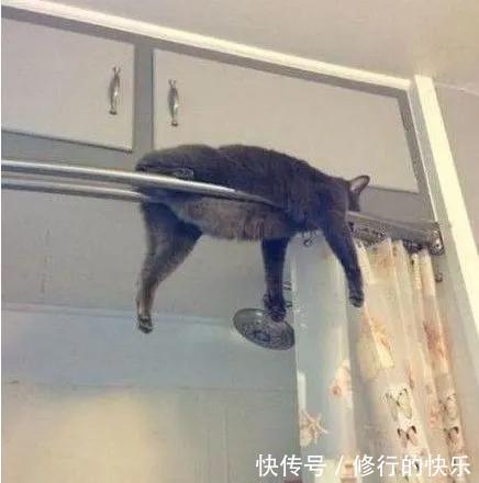 |搞笑GIF:真是的,你跟我一个配钥匙的装什么装!