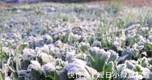 全球|1816鼠年发生了什么？为何会出现六月飞雪，导致全球20万人被冻死