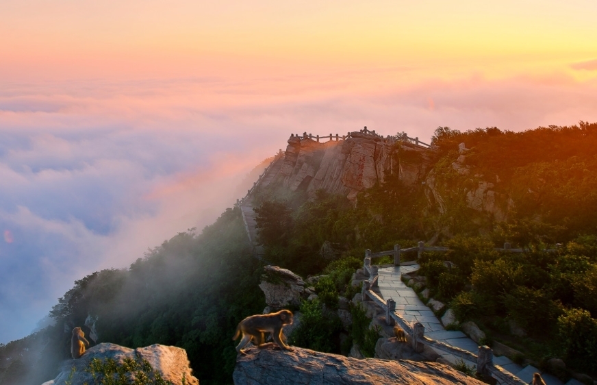 云台山|河南有哪些山峰？这五座值得推荐，个个都是旅游好选择