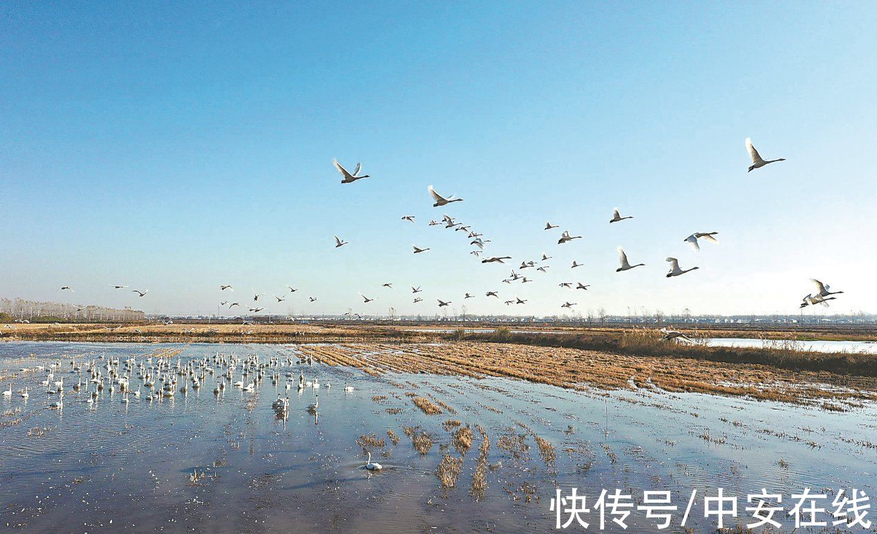 浪花|浪花里飞出欢乐的歌