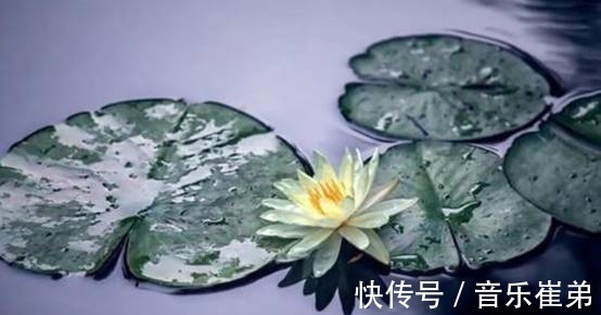 前程$俗语说:人若软弱,易招祸患。每个人尽量别在这三件事上太过软弱