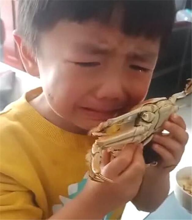 宝贝宠物|孩子的“宝贝宠物”上了餐桌,哭得上气不接下气,妈妈:好吃吗