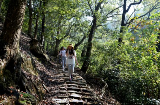 泰顺岭北冬意浓，村尾五古正当红|古村行记 | 廊桥