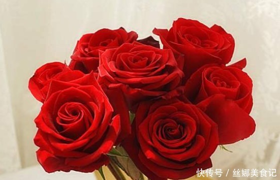 夏季养花不如养一盆“精品玫瑰”卡罗拉,花色红艳似火,热情奔放