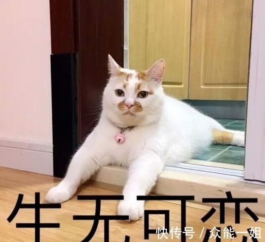 |幽默笑话:我们还没来得及穿好衣服,那天的哭声就响彻了整个山村。