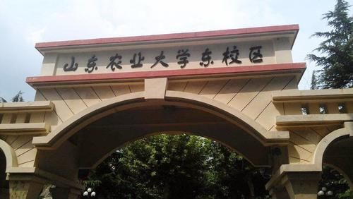 师范大学|这个教育大省，为了冲击“双一流”，真的拼了