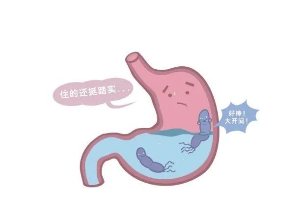 人体|【健康科普】胃不舒服不容小觑，可能是幽门螺旋杆菌在作祟！