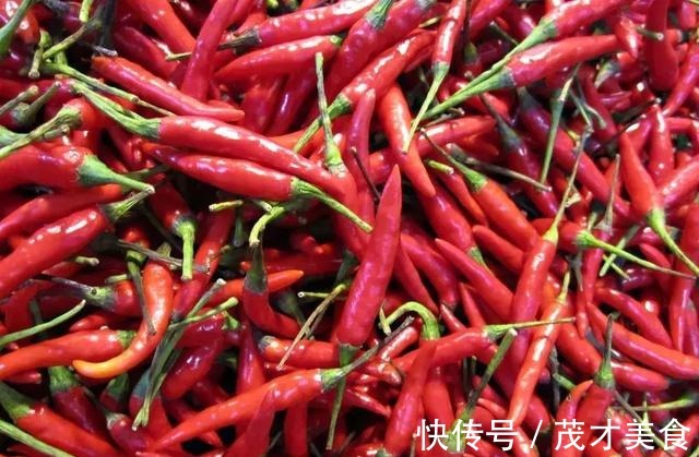 调味料用来养花,不黄叶,生根爆盆分分钟!