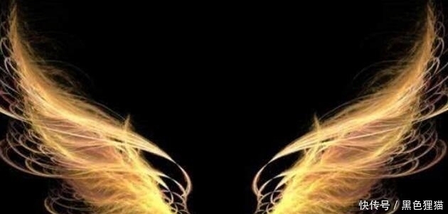 翅膀|心理测试：选一个你最想拥有的翅膀，暴露出你内心是天使还是恶魔