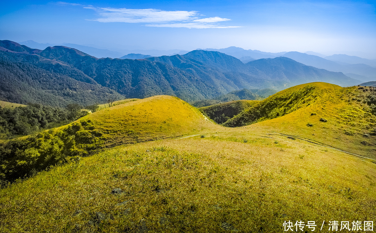 景色|景色迷人、没有门票的景区：阳春鸡笼顶，广东的万亩高山大草原