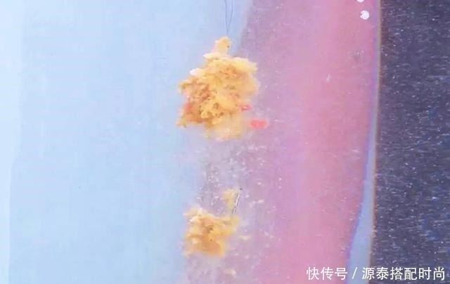 鱼钩|上饵时需要包住鱼钩吗不包住对钓鱼有没有影响困惑的看这