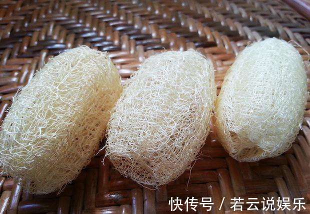 这东西|农村人都拿他当刷碗布,却很少人知道他是个宝