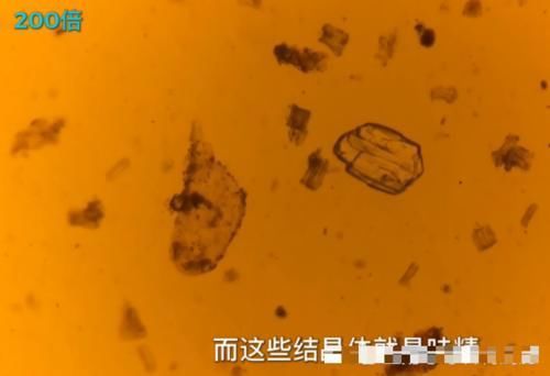 放大|小伙将老干妈放大400倍!密密麻麻都是这东西,网友:再也不吃了!