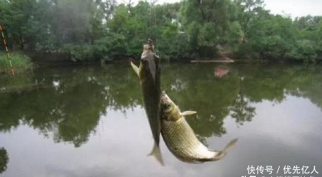 野外垂钓有没有怀疑过人生?谨记这五个钓点不能下杆