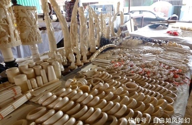 全部导航