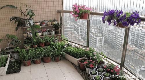 五种浇水方法,家里没人也不怕很好用的回家试试