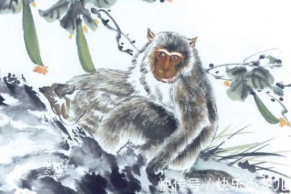 小日子|1月16日开始,财运开花,3大生肖小日子蹭蹭涨,喜气盈门