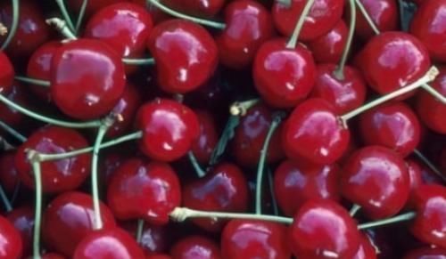 小青菜|想身体好,坚持吃的食物,增加饱腹感,促进新陈代谢,肌肤好