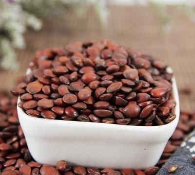 东方|40岁女子长期失眠,中医建议这种“东方睡果”,胜过一把安眠药