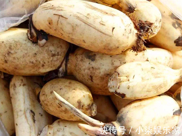 应季|夏天,多吃蔬菜少吃肉,这5种应季蔬菜别错过,物美价廉,营养高