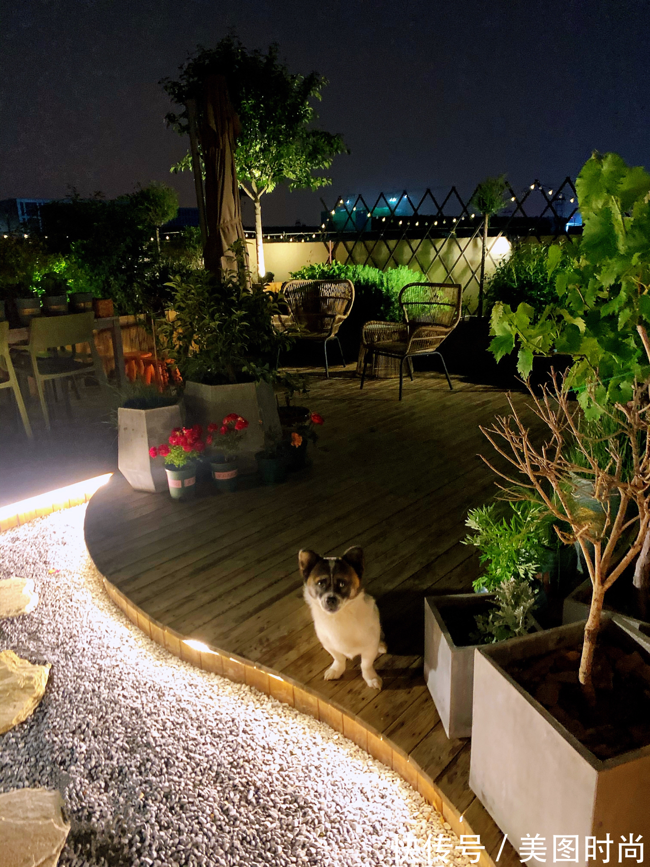 樟子松|花园改造:2万改造60㎡露台花园,户外地面防腐木成本及优劣分析