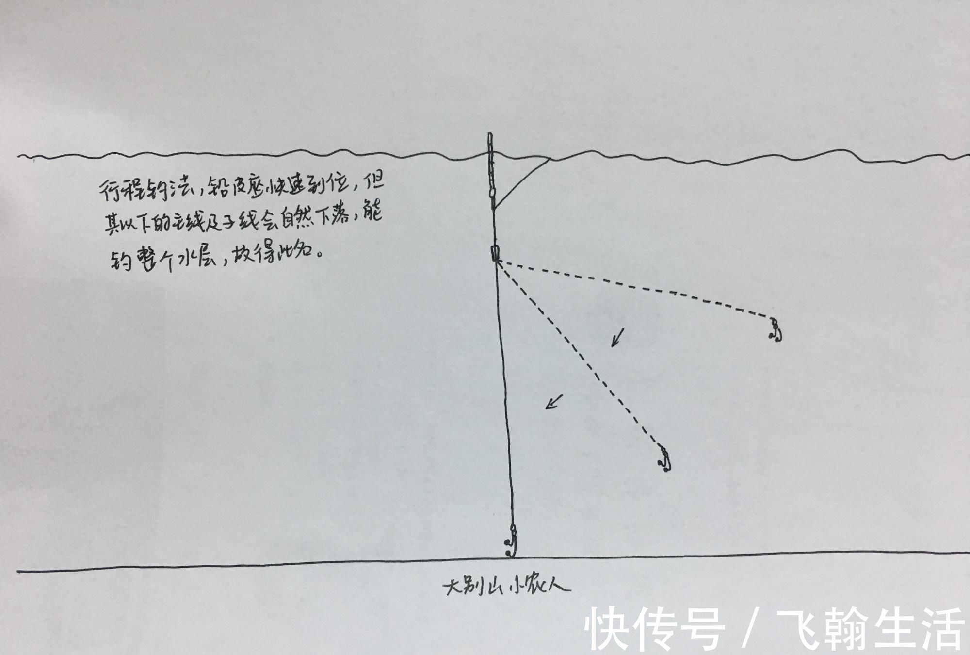 钓法|白条随便一点饵料就想糊弄我上鱼要想持久，就得这么干