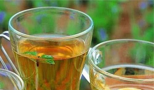 不脏|茶叶第一泡水到底脏不脏应不应该倒掉告诉你正确的喝茶做法