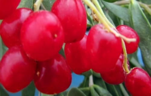 延缓衰老|聪明女性都在吃3种食物，排毒养颜，延缓衰老，早吃早健康！