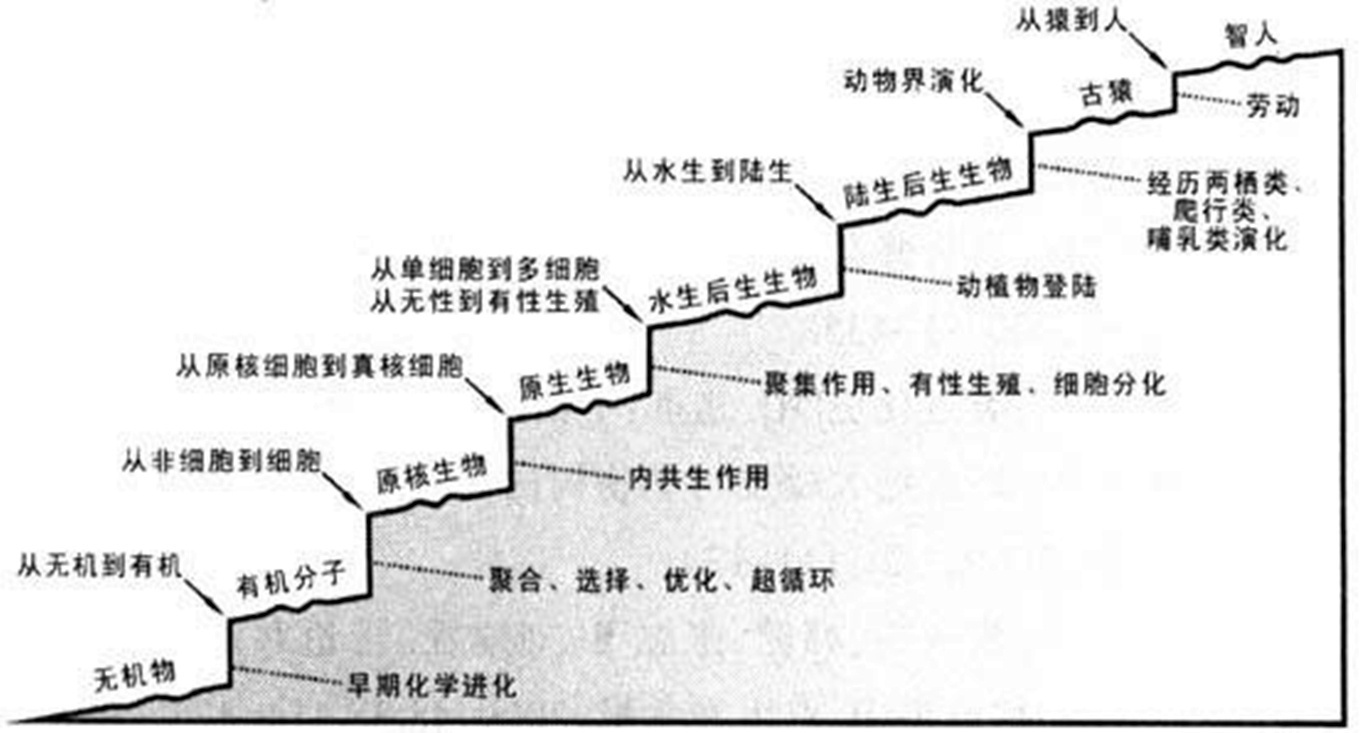 小行星带 为什么地球生命要经历恐龙时代再出现人类