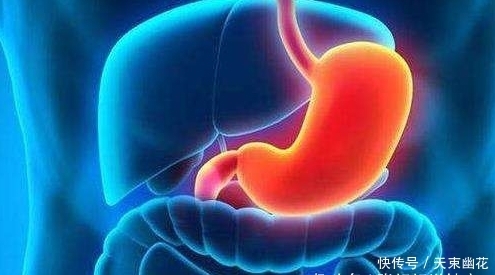 养出|胃不好,几种食物换着每天吃一点,修复胃黏膜,养出好胃!