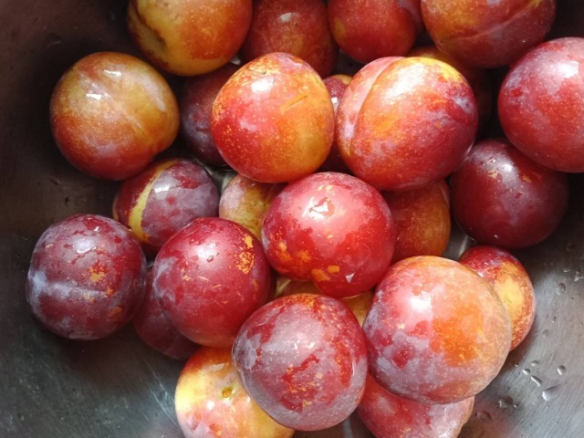 菊苣|藏在身边的天然“二甲双胍”,每天早晚多吃,或使你血糖不升反降