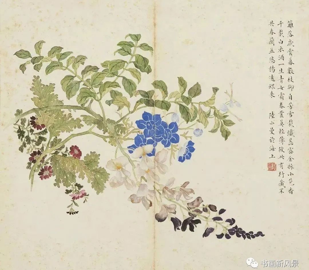 陆小曼花卉册页,很美很惊艳!