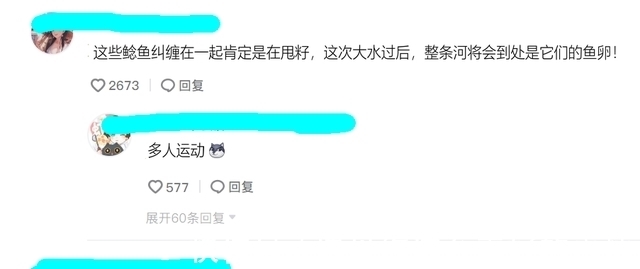 雨后，汕尾一河湾大群鲶鱼水面翻腾，附近钓鱼人：每条都有几十斤