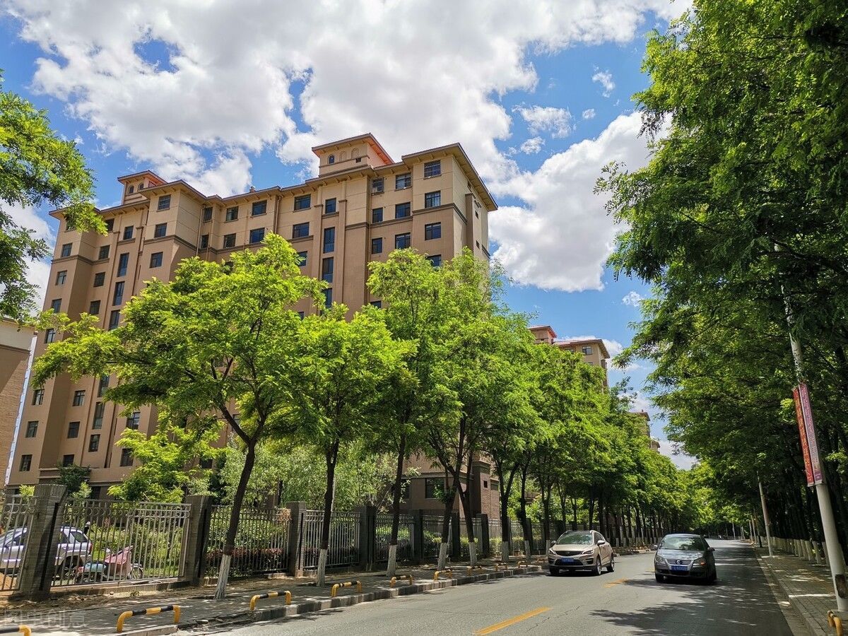 东户|为何西户被哄抢一空,而东户却没有多少人选择?建筑学家给出答案