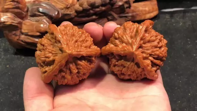 核桃|寒冬腊月,你的核桃玩成啥样了?