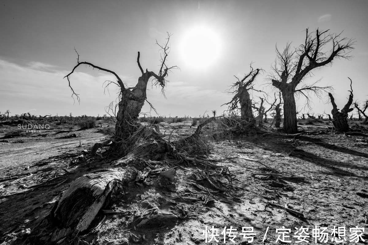 沙漠|神秘的塔克拉玛干沙漠，藏有“生命禁区”，却吸引无数探险者