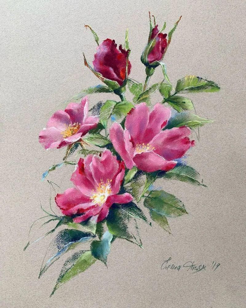 鲜花!太疯狂了!原来用粉笔画画,也可以这么美,简单几招教你,美到邻居羡慕嫉妒