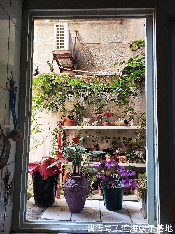 油烟|家里这两扇门,最好是经常关闭,有利于健康