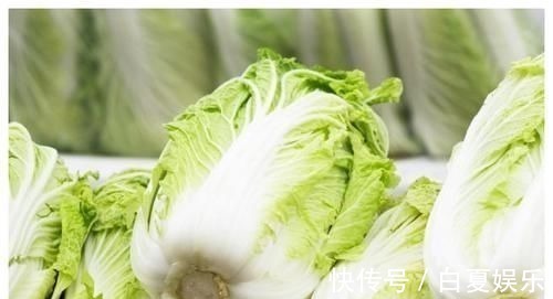 白菜|百岁老人的长寿秘诀:想要健康长寿不生病,餐桌上常备这2种食物
