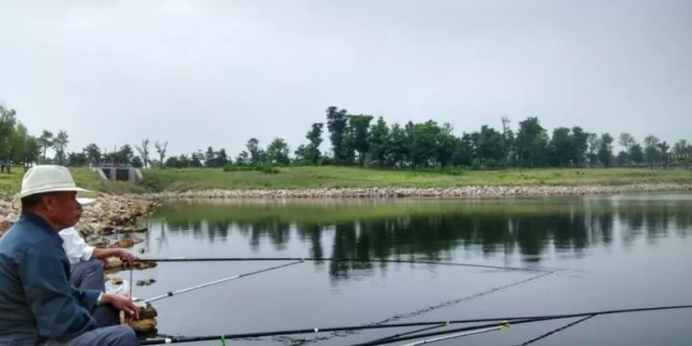 深水|冬天钓鱼五要诀,专攻大板鲫,别错过爆护机会