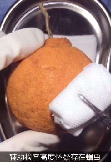 手术|给火龙果割阑尾33岁水果医生爆红吸粉90万网友看到第一个就痛了