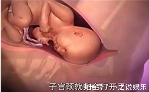 用力过猛|胎儿那么大,如何从那么小的产道出来看完知道女人有多伟大!