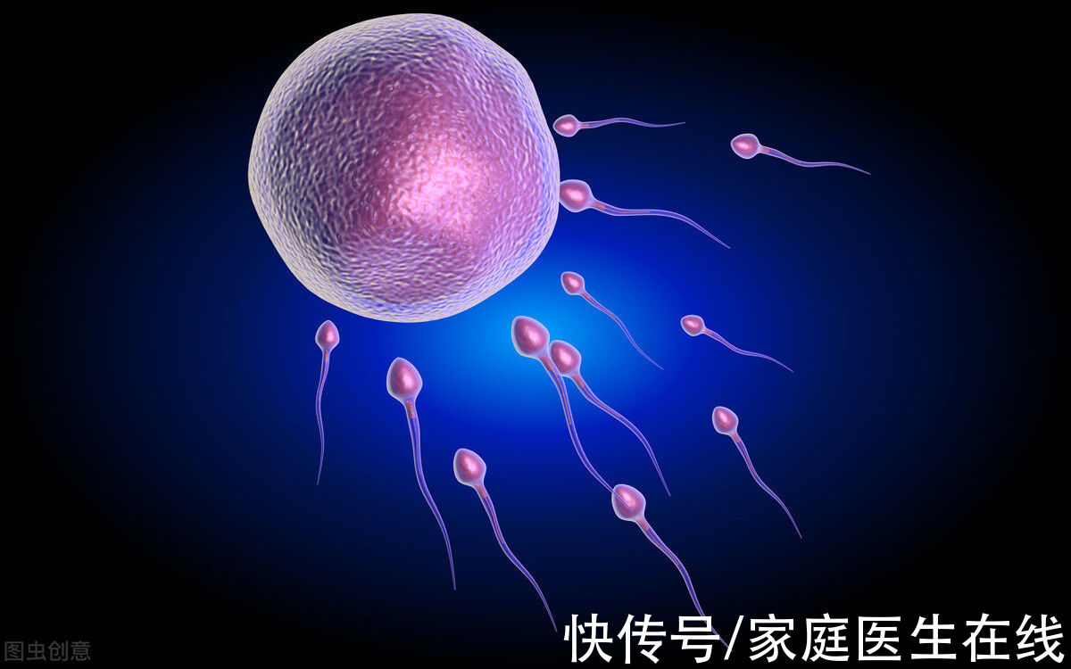 生育能力|精子究竟跑得有多快？这些因素，让这位“运动健儿”折戟！别轻视