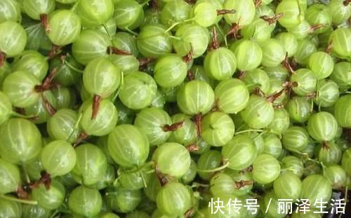 野果|虽是野果,却能消炎、降压、止咳化痰、清热解毒,吃起来也香甜