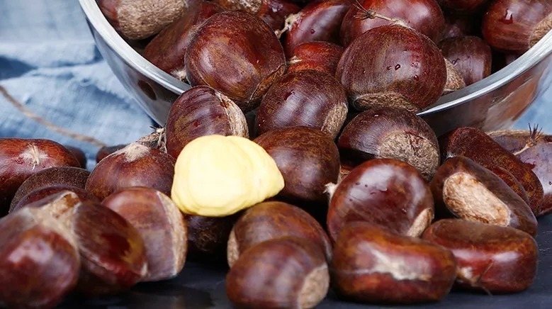 补肾|人老肾气亏!这5种素食是最强补肾药,没有副作用!不信你就来试试